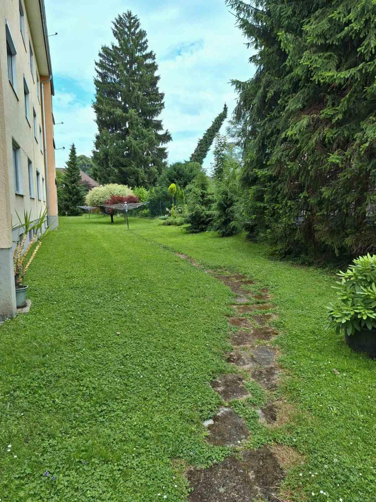 La Vida Appartment 1 كلاغنفورت المظهر الخارجي الصورة